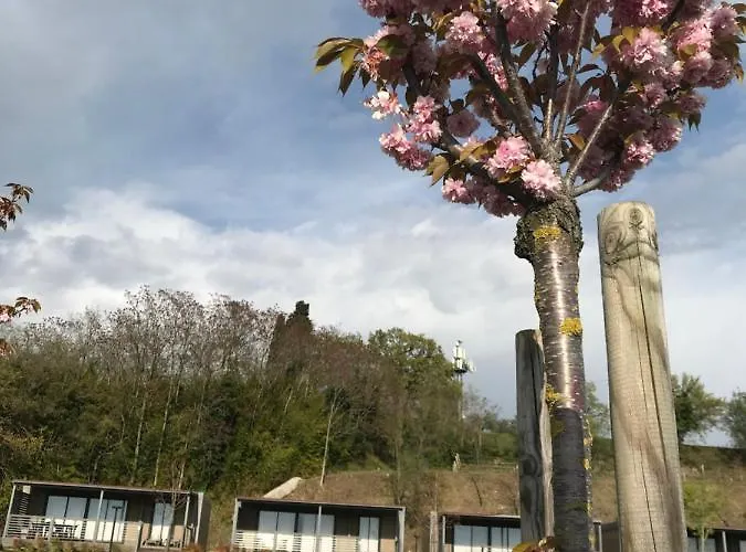 Vakantieboerderij Agricamping Al Grappolo Divino Lazise