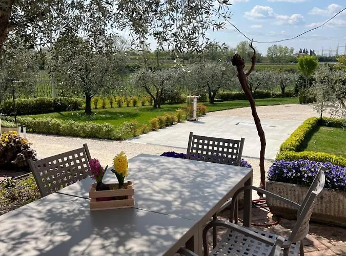 Vakantieboerderij Agricamping Al Grappolo Divino *