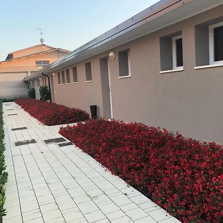 Agricamping Al Grappolo Divino * לאזיסה