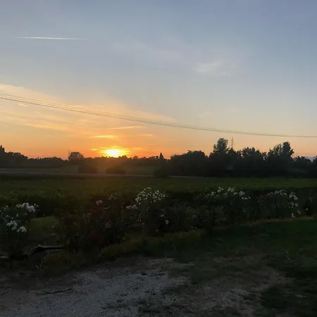 Bauernhof Agricamping Al Grappolo Divino