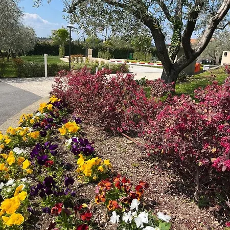 Agricamping Al Grappolo Divino Farm stay Lazise